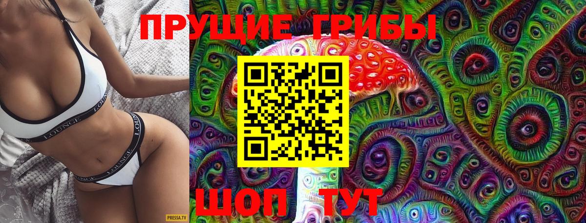Псилоцибиновые грибы Psilocybine cubensis  Вход с VPN  Галлюциногенные грибы мицелий  Иркутск 